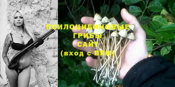 a pvp Пестово