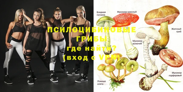 mdpv Пересвет