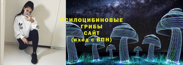 mdpv Пересвет